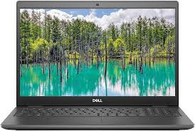 DELL INC LATITUDE 3510 I7-10510U 1.80GHZ